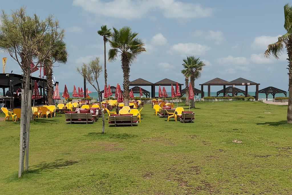 Dream On The Beach Hayfa Dış mekan fotoğraf